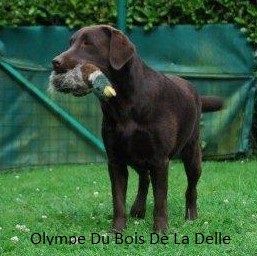 Olympe Du bois de la delle